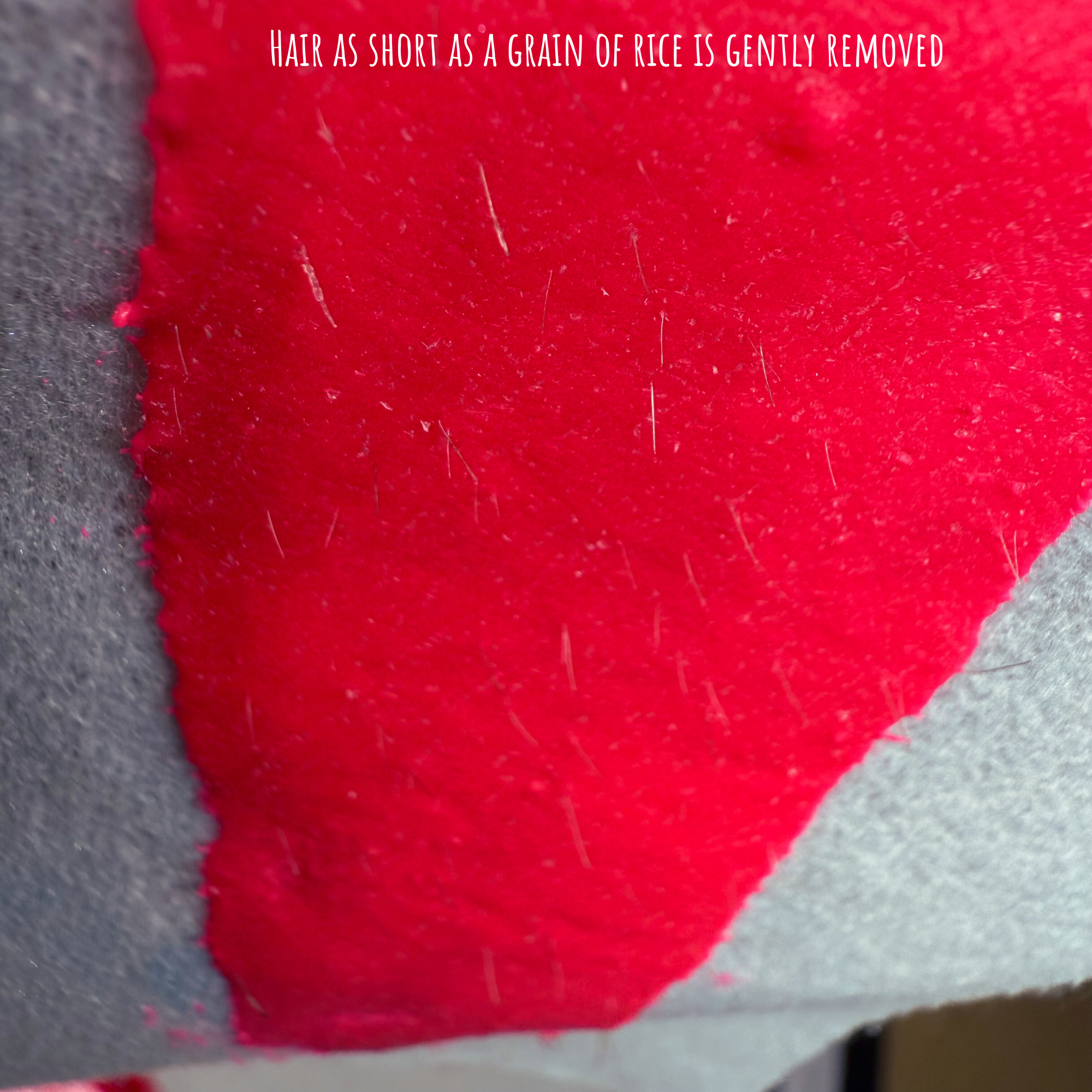 Reusable strip with Dragonfruit pink sugar paste on and visible hairs. Text reads "Hair as short as a grain of rice is gently removed"